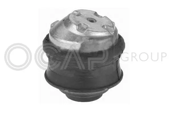 Mounting, engine (1225295)
