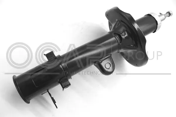 Shock Absorber (82431RL)