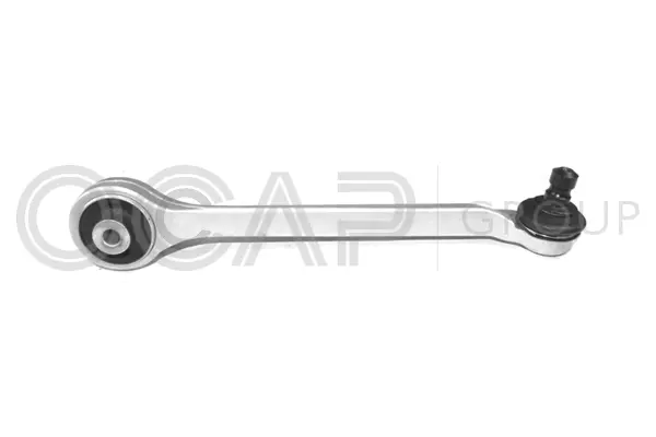 Control/Trailing Arm, wheel suspension (0392044)