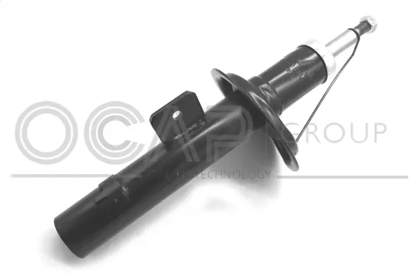 Shock Absorber (82025FL)