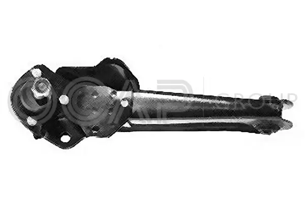 Control/Trailing Arm, wheel suspension (0780586)