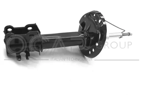 Shock Absorber (82306FR)