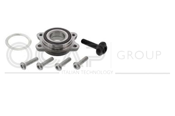 Wheel Bearing Kit (6120386)