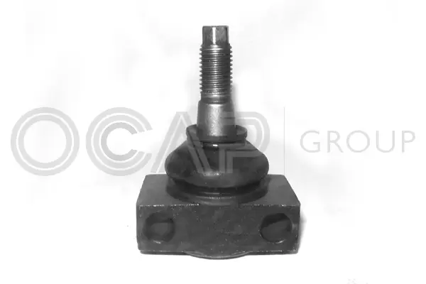 Ball Joint (0401841)