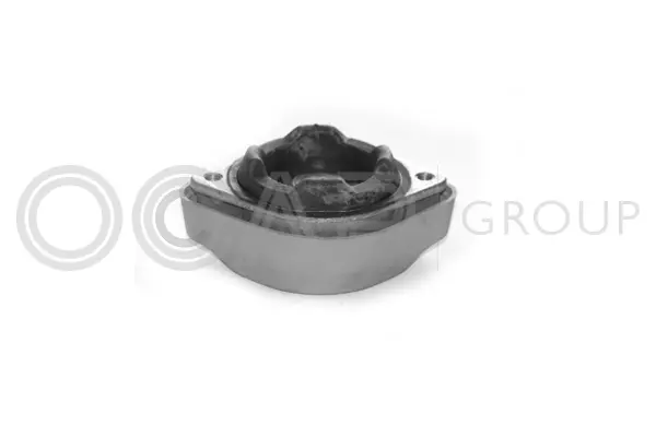 Mounting, engine (1225520)