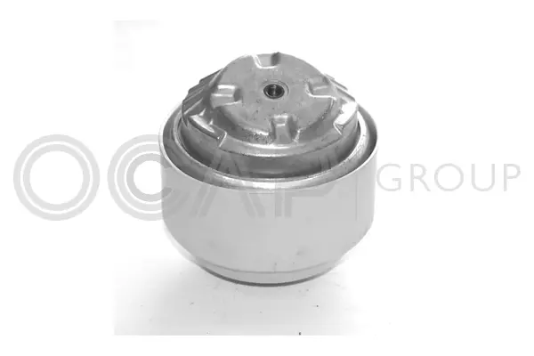 Mounting, engine (1225341)