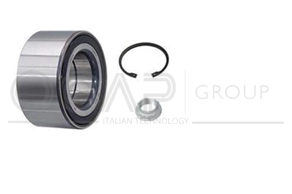 Wheel Bearing Kit (6120342)