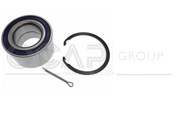 Wheel Bearing Kit (6120631)