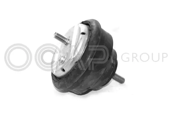 Mounting, engine (1225098)