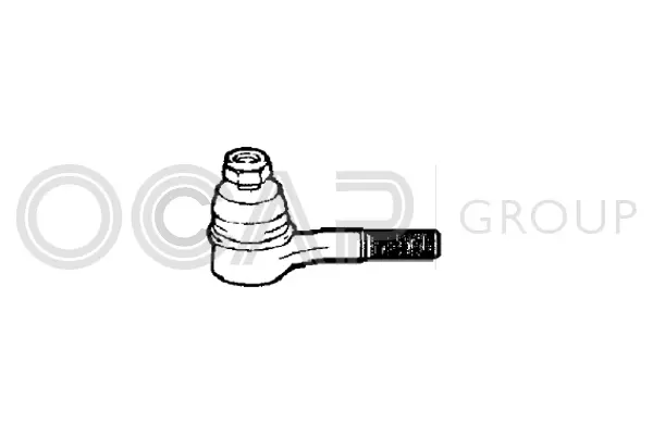 Tie Rod End (0180893)