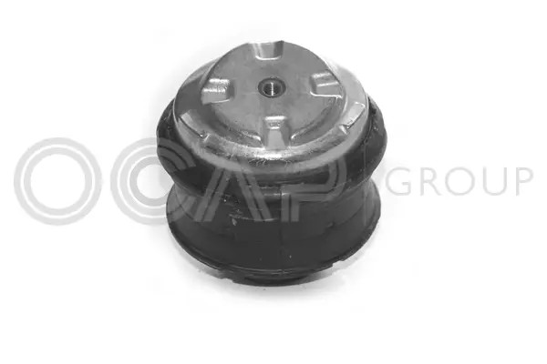 Mounting, engine (1225304)