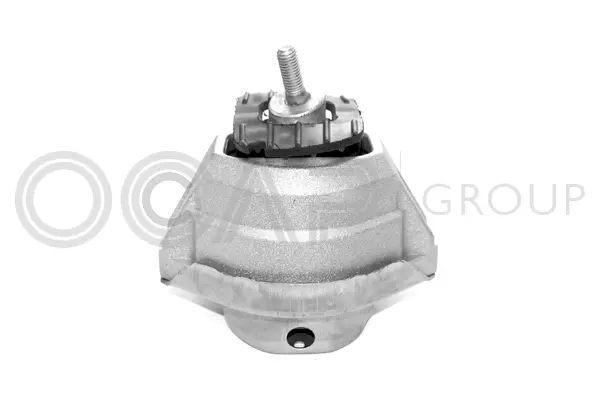 Mounting, engine (1225130)