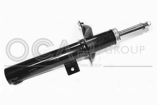 Shock Absorber (82428FR)