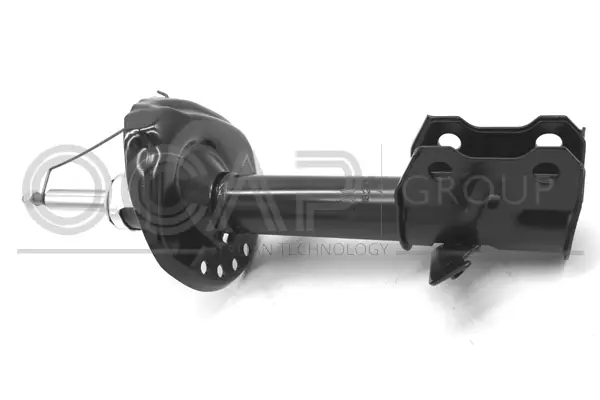 Shock Absorber (82293FL)
