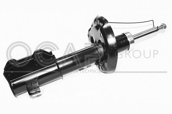 Shock Absorber (82477FR)