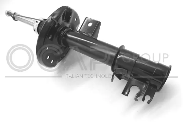 Shock Absorber (82491FR)