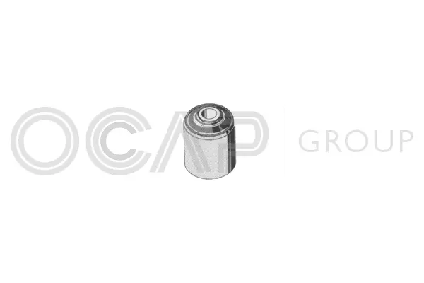 Bushing, axle beam (1215104)