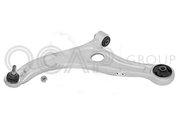 Control/Trailing Arm, wheel suspension (0395496)