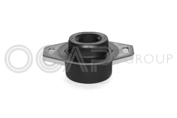 Mounting, engine (1225163)