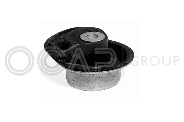 Bushing, axle beam (1215658)