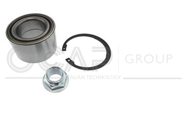 Wheel Bearing Kit (6120497)