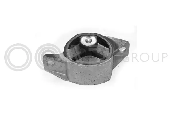 Mounting, engine (1225081)