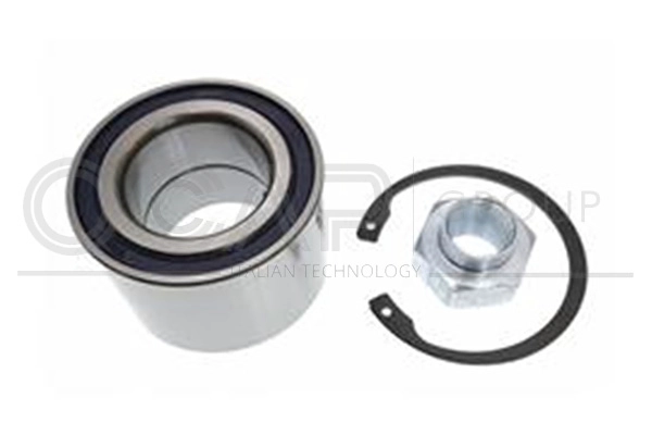 Wheel Bearing Kit (6120451)