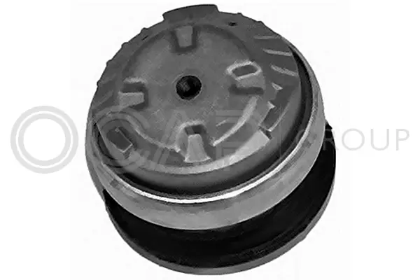 Mounting, engine (1226197)