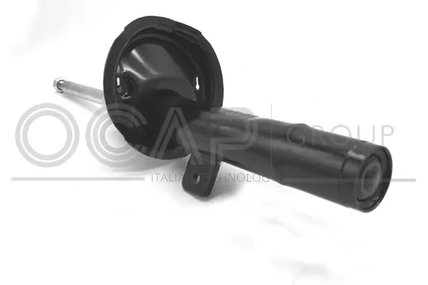 Shock Absorber (82046FL)