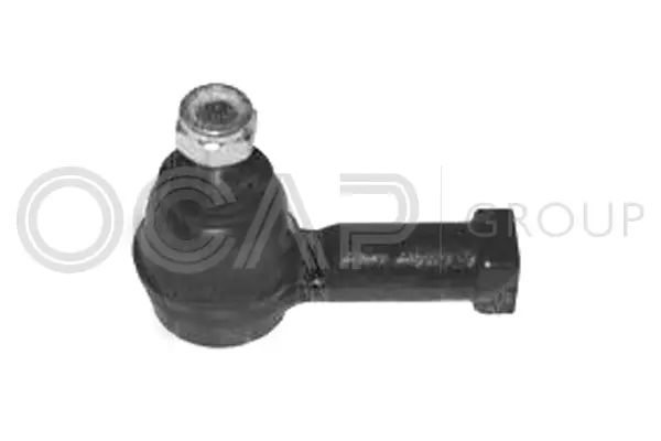 Tie Rod End (0282818)