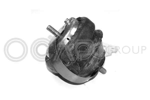 Mounting, engine (1225556)