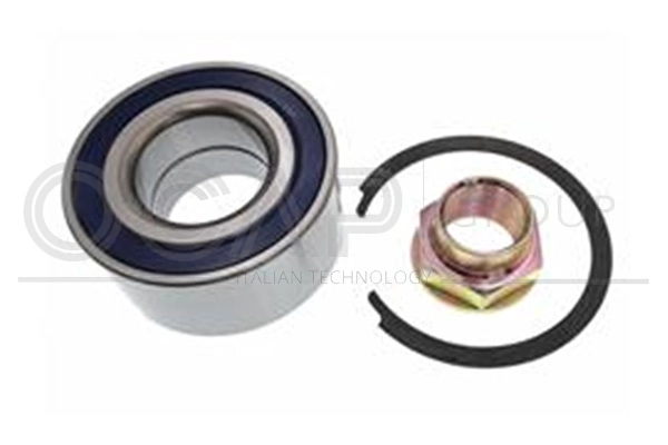 Wheel Bearing Kit (6120168)