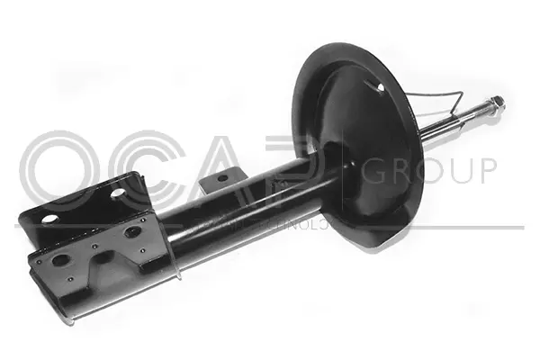 Shock Absorber (82074FR)