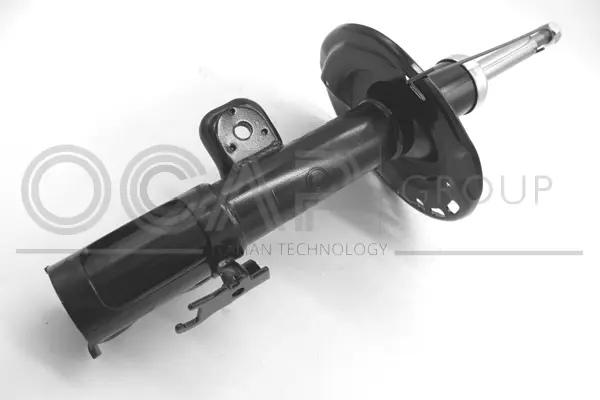 Shock Absorber (82262FR)