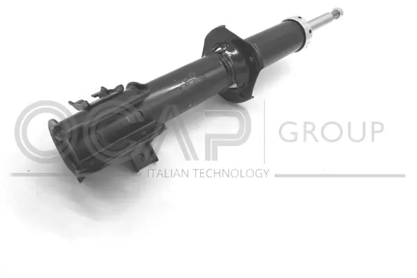 Shock Absorber (82398FL)