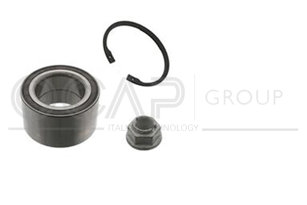 Wheel Bearing Kit (6120440)