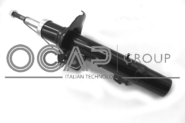 Shock Absorber (82901FL)