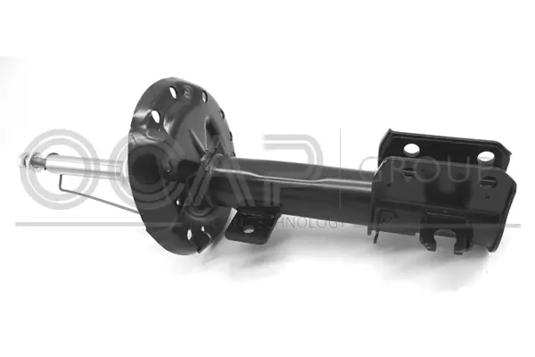 Shock Absorber (82321FR)