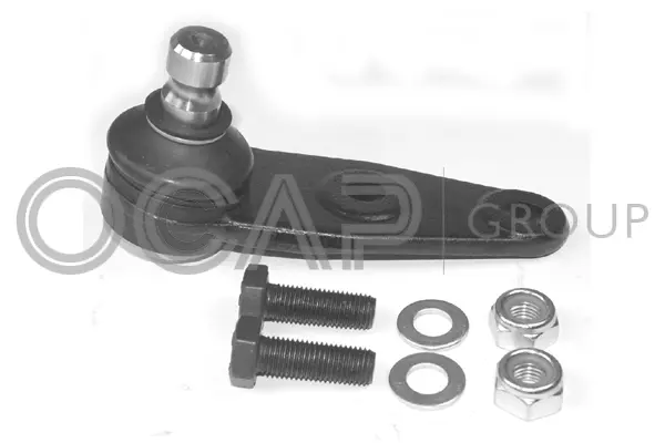Ball Joint (0488506)