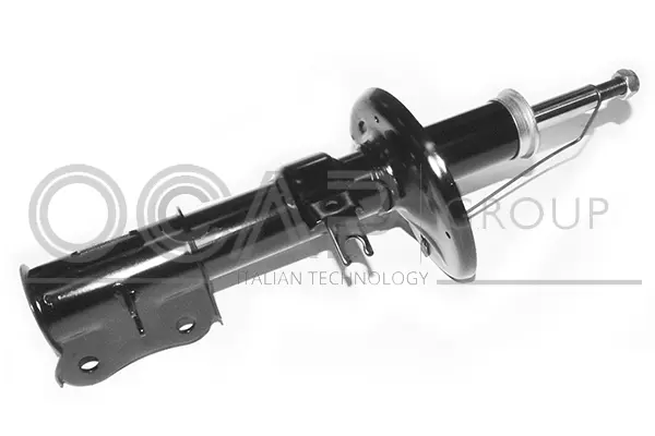 Shock Absorber (82087FR)