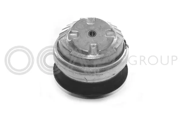 Mounting, engine (1225342)