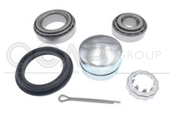 Wheel Bearing Kit (6120101)
