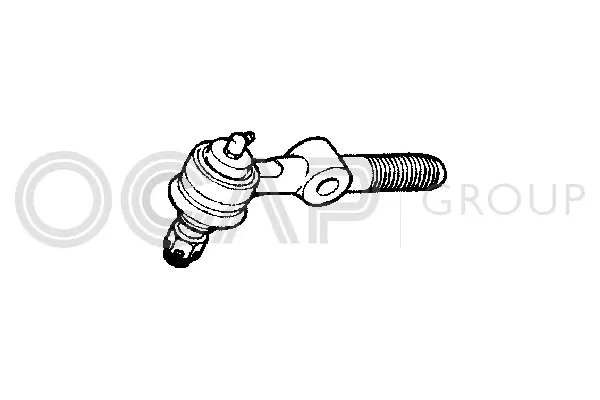 Tie Rod End (0193738)