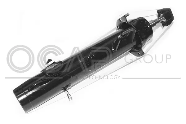 Shock Absorber (82601FL)