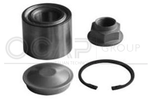 Wheel Bearing Kit (6120187)
