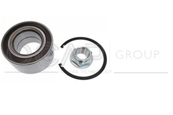 Wheel Bearing Kit (6120162)