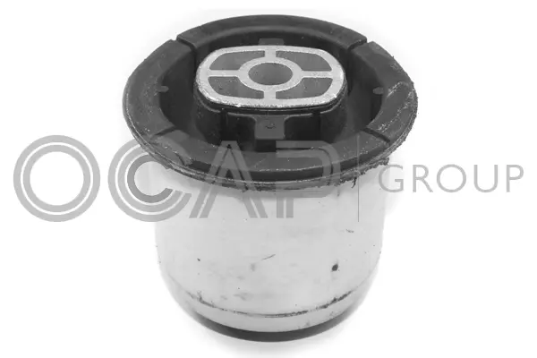 Bushing, axle beam (1216238)