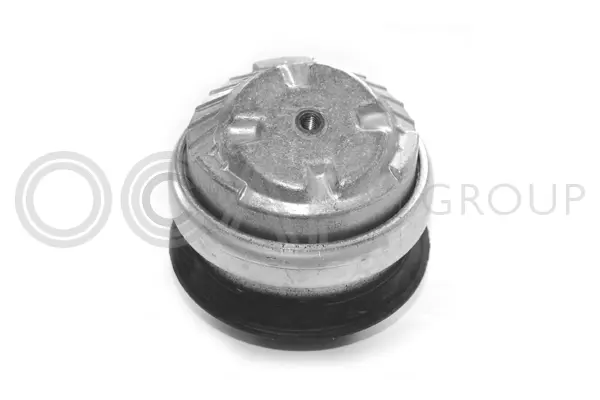 Mounting, engine (1225299)