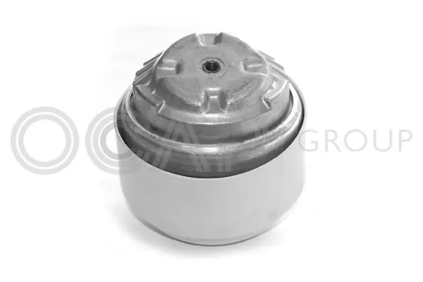 Mounting, engine (1225307)