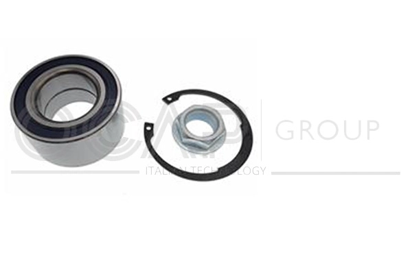 Wheel Bearing Kit (6120488)